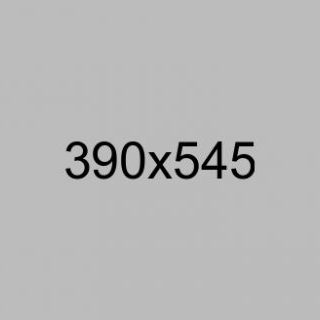 consectetur adipiscing elit one